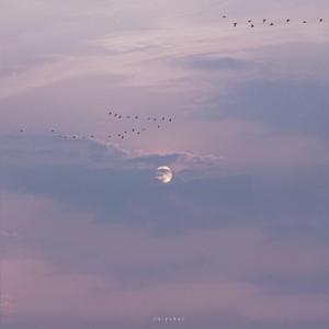 le拉拉炒菜视频在线观看
